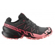 Speedcross 6 Gtx w Salomon