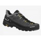 Alp Trainer 2 Gtx M Salewa