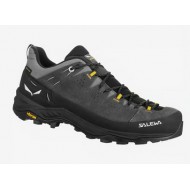 Alp Trainer 2 Gtx M Salewa