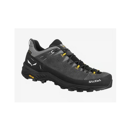 Alp Trainer 2 Gtx M Salewa