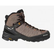 MS Alp Trainer 2 Mid  GTX Salewa