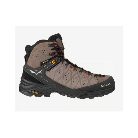 MS Alp Trainer 2 Mid  GTX Salewa
