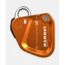 Assist Belay Resistor Mammut