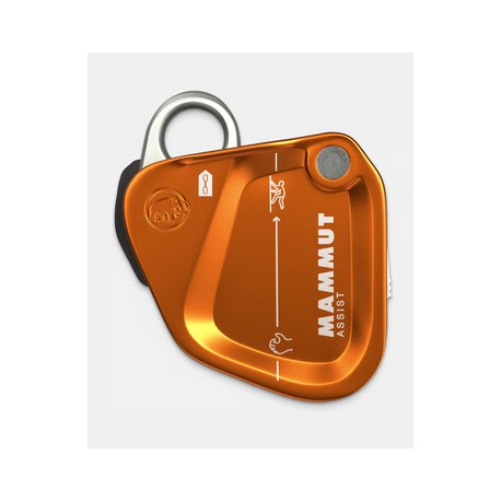 Assist Belay Resistor Mammut