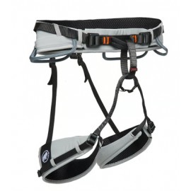 Ophir 4 Slide 2.0 Mammut