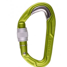 Bulletproof Screw Edelrid